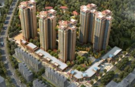 �VԪɏ������ι�ˮ�Ŀ�䌍